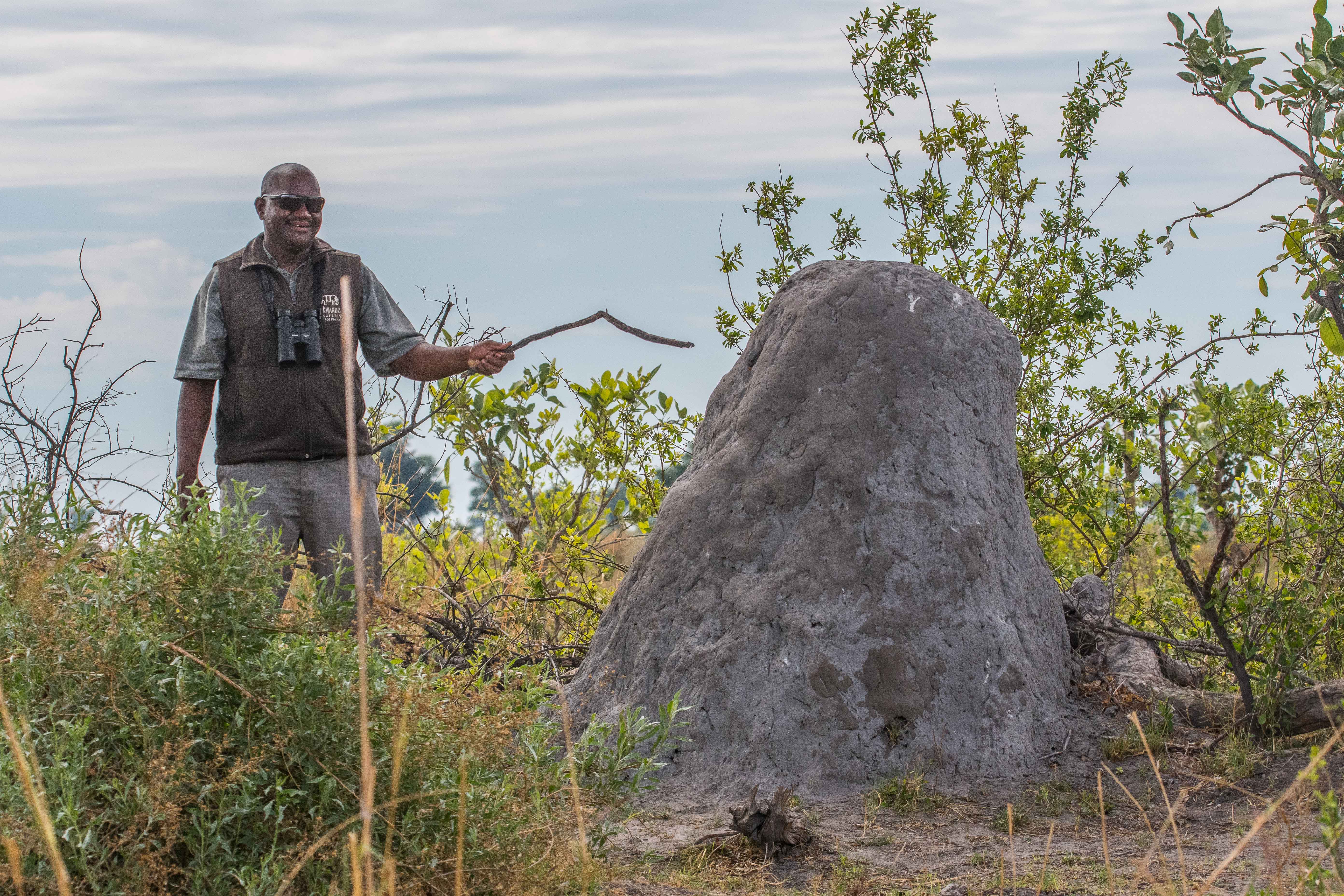 Mister G, notre guide et chauffeur, conférant sur le rôle essentiel des termitières dans la structuration du Delta de l'Okavango.